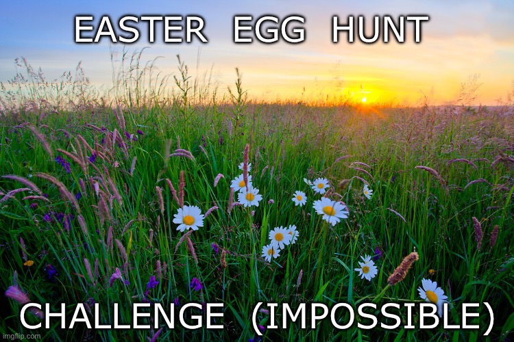 Easter egg hunt (impossible) | EASTER  EGG  HUNT; CHALLENGE  (IMPOSSIBLE) | image tagged in sunrise meadow,easter,easter egg hunt,easter eggs,easter egg,challenge impossible | made w/ Imgflip meme maker