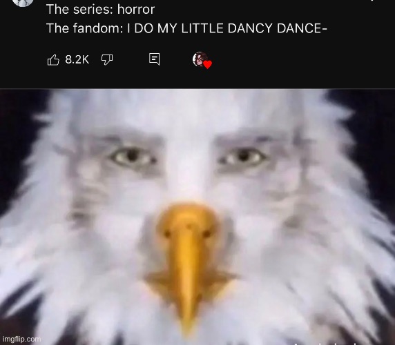 i'm never hopping on yt shorts again | image tagged in eagle straight face | made w/ Imgflip meme maker