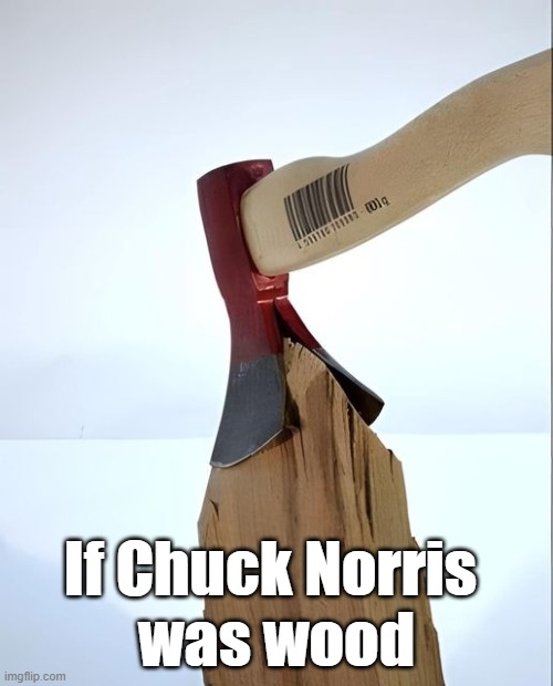 Chuck Norris wood | If Chuck Norris 
was wood | image tagged in funny,funny memes,chuck norris,chuck norris approves,humor | made w/ Imgflip meme maker
