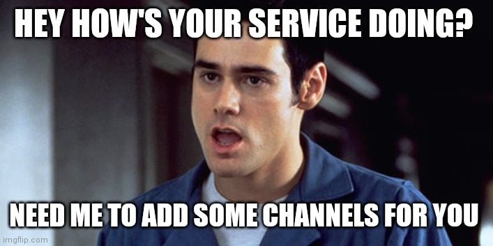 Cable Guy | HEY HOW'S YOUR SERVICE DOING? NEED ME TO ADD SOME CHANNELS FOR YOU | image tagged in funny memes | made w/ Imgflip meme maker