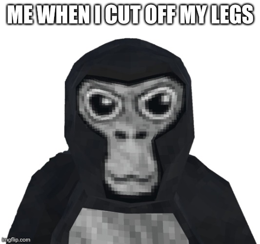 Gorilla tag | ME WHEN I CUT OFF MY LEGS | image tagged in gorilla tag | made w/ Imgflip meme maker