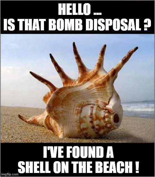 Don't Panic ! | HELLO ... 
IS THAT BOMB DISPOSAL ? I'VE FOUND A SHELL ON THE BEACH ! | image tagged in don't panic,shell,play on words | made w/ Imgflip meme maker
