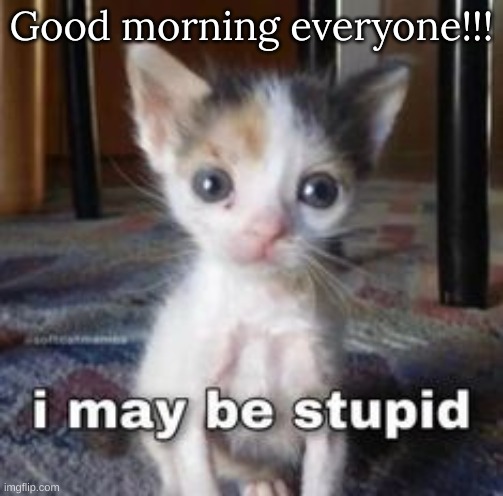 Good morning everyone!!! | image tagged in m | made w/ Imgflip meme maker