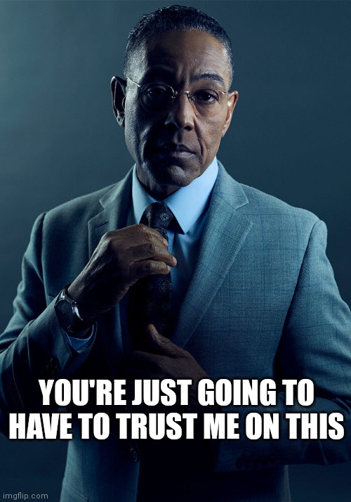 Trust me | YOU'RE JUST GOING TO HAVE TO TRUST ME ON THIS | image tagged in gus fring we are not the same | made w/ Imgflip meme maker