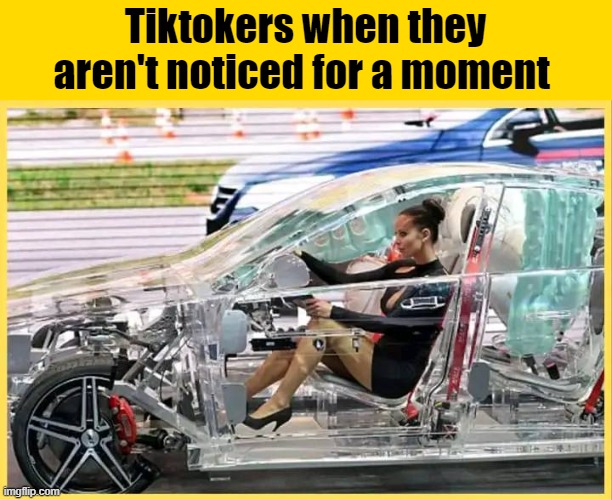 Tiktokers when they aren't noticed for a moment | image tagged in tik tok,funny | made w/ Imgflip meme maker