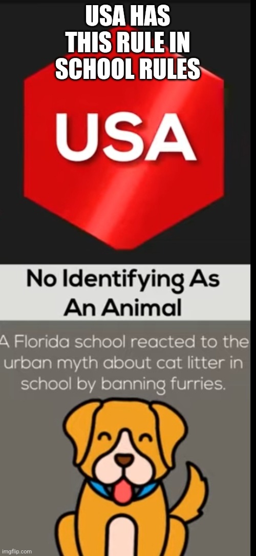 W USA | USA HAS THIS RULE IN SCHOOL RULES | image tagged in memes,anti furry,w,usa | made w/ Imgflip meme maker
