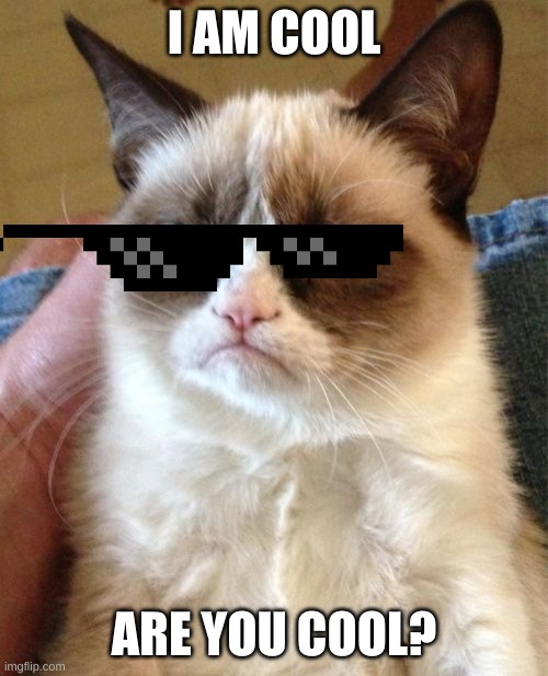 Grumpy Cat | I AM COOL; ARE YOU COOL? | image tagged in memes,grumpy cat | made w/ Imgflip meme maker