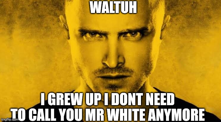 Jesse | WALTUH; I GREW UP I DONT NEED TO CALL YOU MR WHITE ANYMORE | image tagged in i will kill,anyone who reads,the tags | made w/ Imgflip meme maker