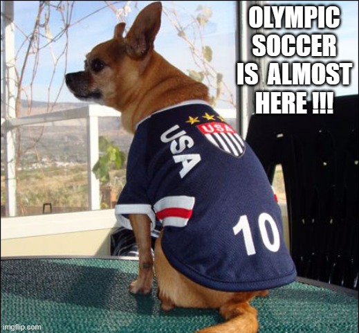 meme by Brad Olympic soccer is almost here | OLYMPIC SOCCER IS  ALMOST HERE !!! | image tagged in sports,funny,olympics,funny dogs,funny meme,humor | made w/ Imgflip meme maker