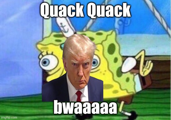 Mocking Spongebob | Quack Quack; bwaaaaa | image tagged in memes,mocking spongebob | made w/ Imgflip meme maker