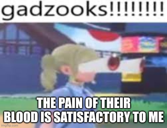 gazooks!!!!!! | THE PAIN OF THEIR BLOOD IS SATISFACTORY TO ME | image tagged in gazooks | made w/ Imgflip meme maker