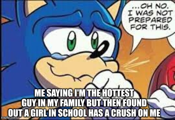 IM NOT MENTALLY PREPARED FOR A GIRLFRIEND | ME SAYING I'M THE HOTTEST GUY IN MY FAMILY BUT THEN FOUND OUT A GIRL IN SCHOOL HAS A CRUSH ON ME | image tagged in sonic oh no i was not prepared | made w/ Imgflip meme maker