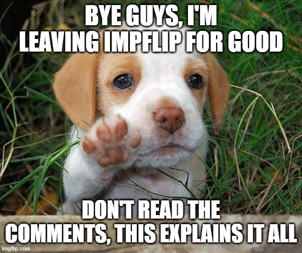 dog puppy bye | BYE GUYS, I'M LEAVING IMPFLIP FOR GOOD; DON'T READ THE COMMENTS, THIS EXPLAINS IT ALL | image tagged in dog puppy bye | made w/ Imgflip meme maker