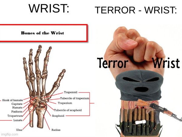 Image Title | TERROR - WRIST:; WRIST: | image tagged in terrorist,terror wrist | made w/ Imgflip meme maker