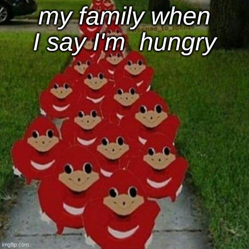 Ugandan knuckles army | my family when I say I'm  hungry | image tagged in ugandan knuckles army | made w/ Imgflip meme maker