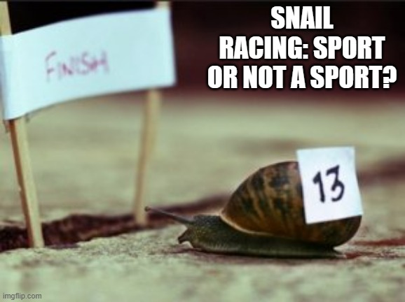memes by Brad Snail racing is not a sport | SNAIL RACING: SPORT OR NOT A SPORT? | image tagged in sports,funny,snail,racing,funny meme,humor | made w/ Imgflip meme maker