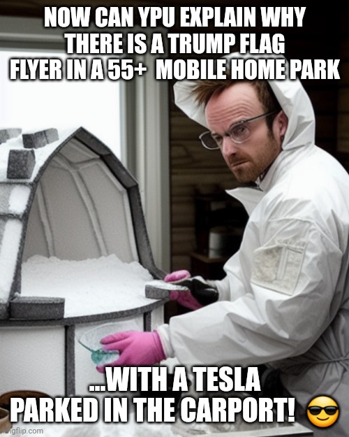 Snowcones | NOW CAN YPU EXPLAIN WHY THERE IS A TRUMP FLAG FLYER IN A 55+  MOBILE HOME PARK ...WITH A TESLA PARKED IN THE CARPORT!  ? | image tagged in snowcones | made w/ Imgflip meme maker