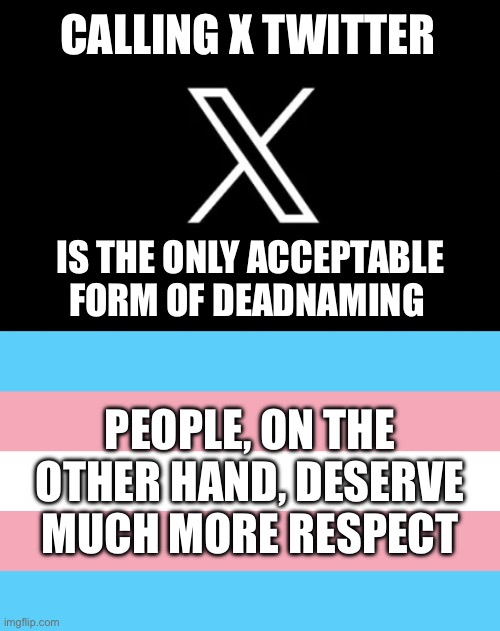 Twitter: the only acceptable form of deadnaming. | CALLING X TWITTER; IS THE ONLY ACCEPTABLE FORM OF DEADNAMING; PEOPLE, ON THE OTHER HAND, DESERVE MUCH MORE RESPECT | image tagged in x/twitter,transflag,lgbtq,deadname,deadnaming,transgender | made w/ Imgflip meme maker