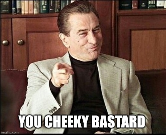 Robert De Niro | YOU CHEEKY BASTARD | image tagged in robert de niro | made w/ Imgflip meme maker