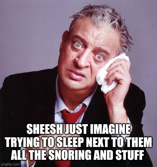 Rodney Dangerfield | SHEESH JUST IMAGINE TRYING TO SLEEP NEXT TO THEM ALL THE SNORING AND STUFF | image tagged in rodney dangerfield | made w/ Imgflip meme maker
