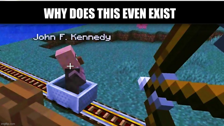 Apparently this exists for who even knows why... | WHY DOES THIS EVEN EXIST | image tagged in minecraft,cursed image,memes,funny | made w/ Imgflip meme maker