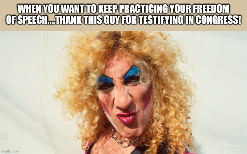 A little history for you gen z ALPHA MALE TYPES who love to slam some domestics with the boys! | WHEN YOU WANT TO KEEP PRACTICING YOUR FREEDOM OF SPEECH....THANK THIS GUY FOR TESTIFYING IN CONGRESS! | image tagged in dee snider twisted sister | made w/ Imgflip meme maker