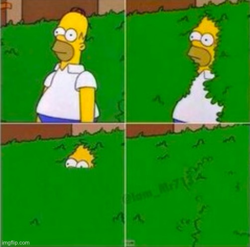 homer disappearing | image tagged in homer disappearing | made w/ Imgflip meme maker
