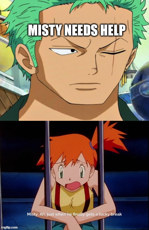 zoro and misty | MISTY NEEDS HELP | image tagged in snow white and misty,zoro,one piece,pokemon memes,please help me,nintendo | made w/ Imgflip meme maker