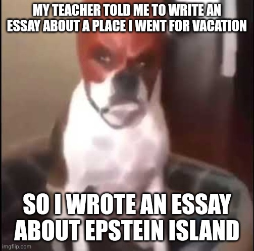 daredevil dog | MY TEACHER TOLD ME TO WRITE AN ESSAY ABOUT A PLACE I WENT FOR VACATION; SO I WROTE AN ESSAY ABOUT EPSTEIN ISLAND | image tagged in daredevil dog | made w/ Imgflip meme maker