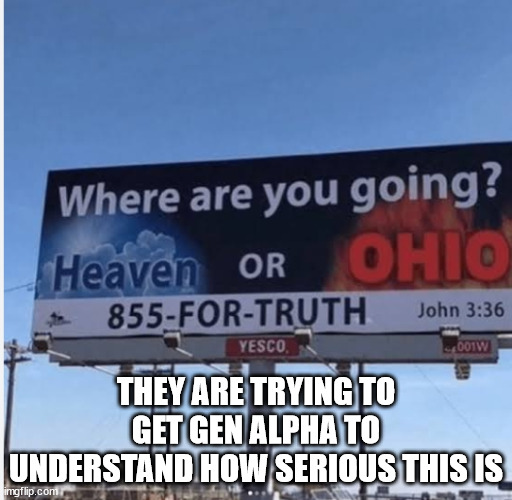 Heaven or OHIO? | THEY ARE TRYING TO GET GEN ALPHA TO UNDERSTAND HOW SERIOUS THIS IS | image tagged in heaven or ohio | made w/ Imgflip meme maker