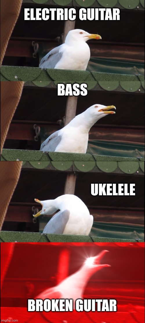 Inhaling Seagull Meme | ELECTRIC GUITAR; BASS; UKELELE; BROKEN GUITAR | image tagged in memes,inhaling seagull,guitar hero,birds | made w/ Imgflip meme maker