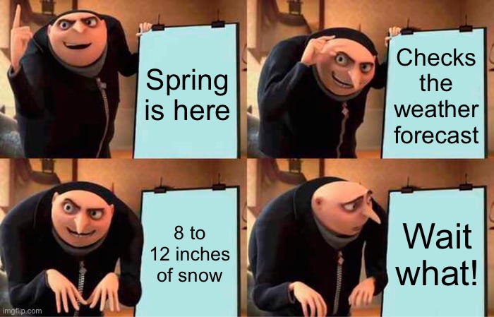 Spring in Chicago | Spring is here; Checks the weather forecast; 8 to 12 inches of snow; Wait what! | image tagged in memes,gru's plan,weather | made w/ Imgflip meme maker