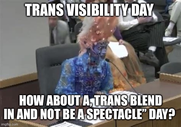 Oxymoron: Trans Visibility is the purpose. | TRANS VISIBILITY DAY; HOW ABOUT A, TRANS BLEND IN AND NOT BE A SPECTACLE” DAY? | image tagged in drag queen testifies,oxymoron,trans,liberals | made w/ Imgflip meme maker
