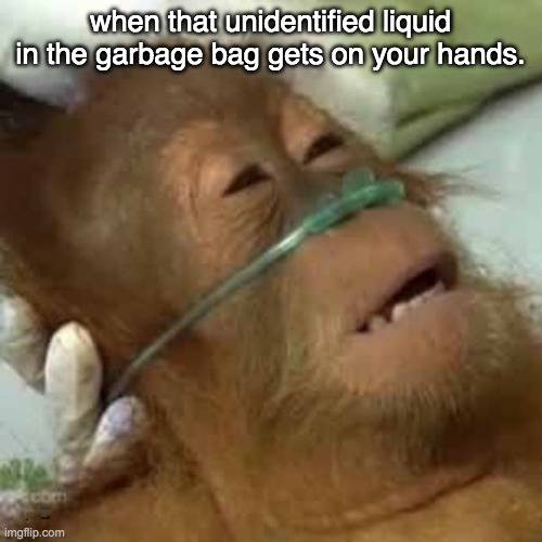 Dying orangutan | when that unidentified liquid in the garbage bag gets on your hands. | image tagged in dying orangutan | made w/ Imgflip meme maker