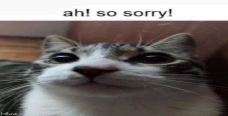 Ah! So sorry | image tagged in ah so sorry | made w/ Imgflip meme maker