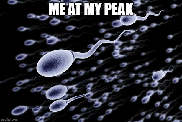 sperm swimming | ME AT MY PEAK | image tagged in sperm swimming | made w/ Imgflip meme maker