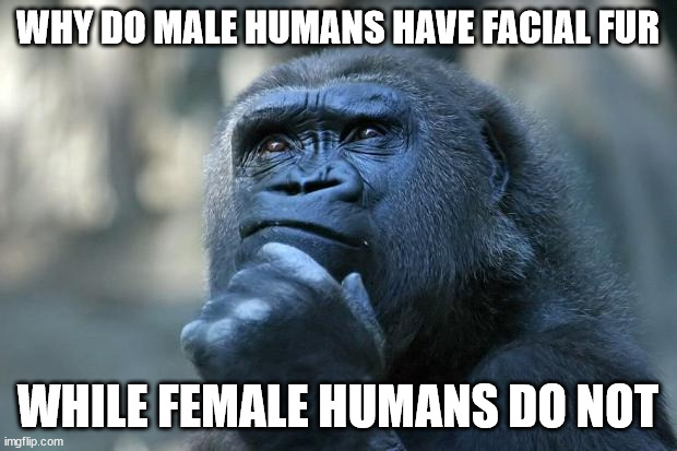 Deep Thoughts | WHY DO MALE HUMANS HAVE FACIAL FUR; WHILE FEMALE HUMANS DO NOT | image tagged in deep thoughts | made w/ Imgflip meme maker