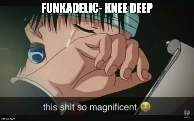 This shit so magnificent | FUNKADELIC- KNEE DEEP | image tagged in this shit so magnificent | made w/ Imgflip meme maker