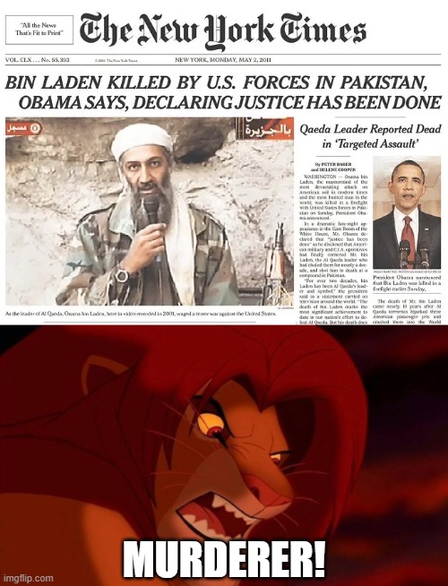 Simba Hates Obama For Murdering Osama | MURDERER! | image tagged in simba,murderer,obama,osama,barack obama,osama bin laden | made w/ Imgflip meme maker