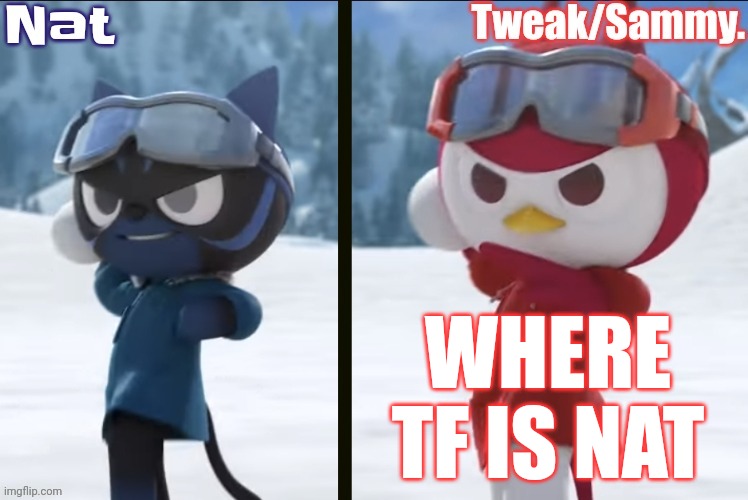 Nat and Tweak announcement temp | WHERE TF IS NAT | image tagged in nat and tweak announcement temp | made w/ Imgflip meme maker