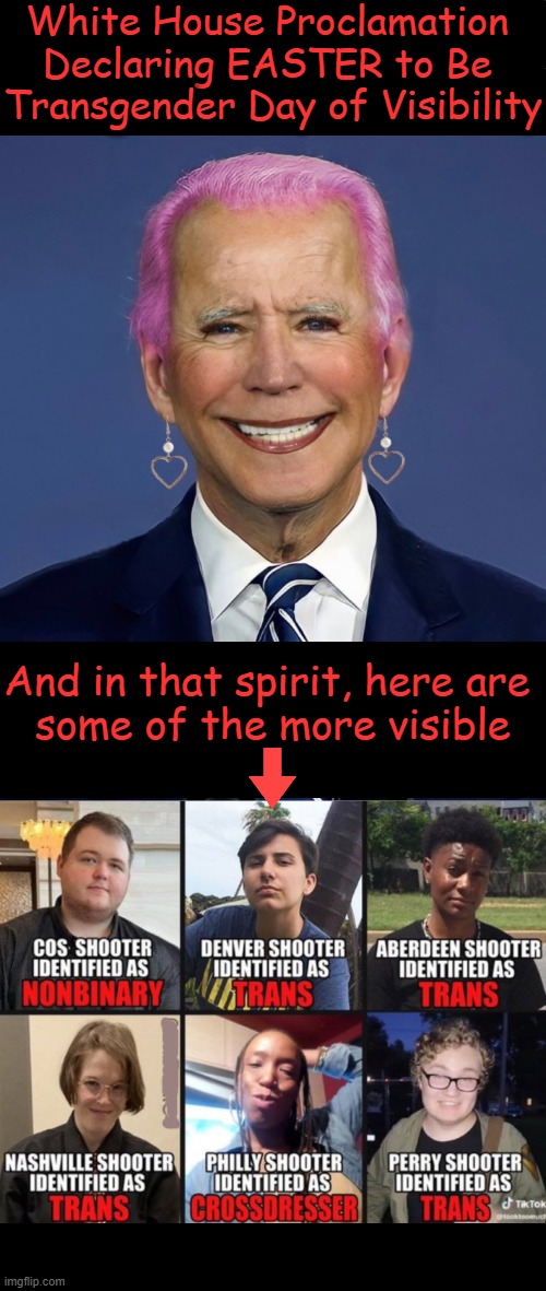 The Agenda Is Real | White House Proclamation 
Declaring EASTER to Be 
Transgender Day of Visibility; And in that spirit, here are 
some of the more visible | image tagged in politics,easter,transgender,agenda,joe biden,leftists | made w/ Imgflip meme maker