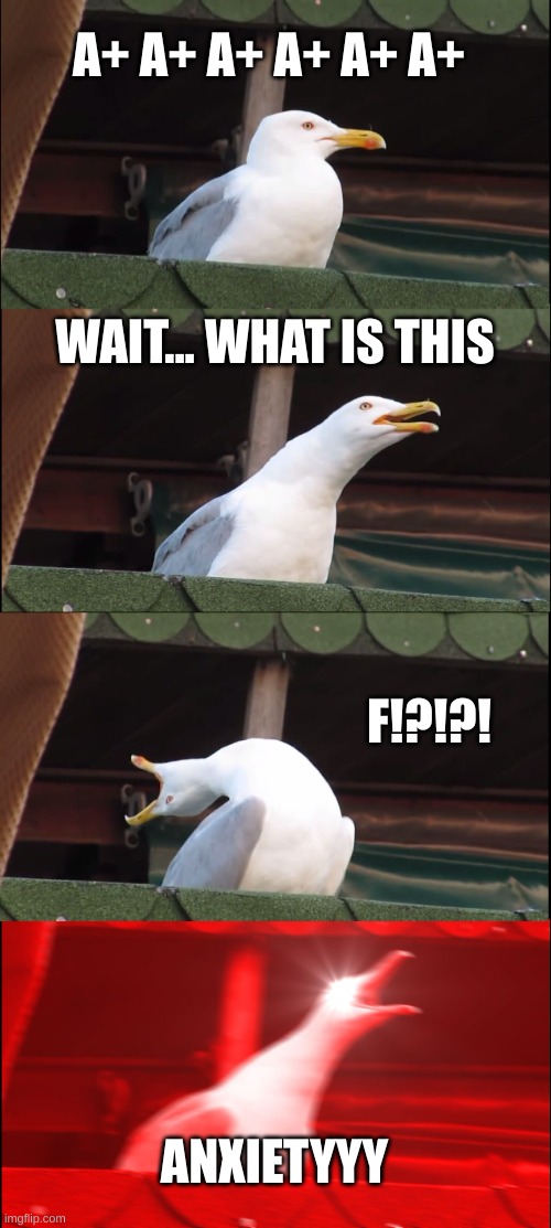 Why do grades do this to me | A+ A+ A+ A+ A+ A+; WAIT... WHAT IS THIS; F!?!?! ANXIETYYY | image tagged in memes,inhaling seagull | made w/ Imgflip meme maker