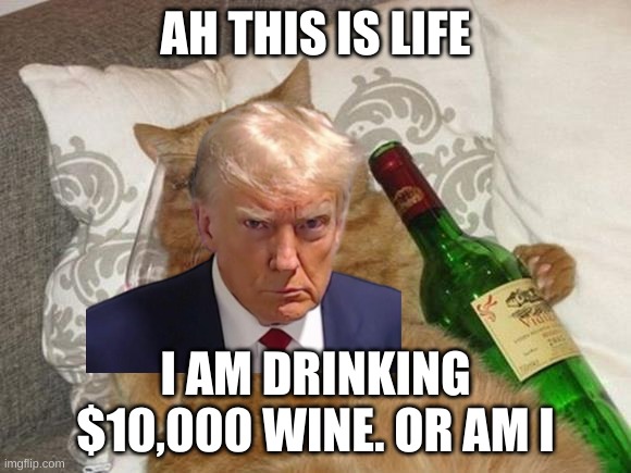 Funny Cat Birthday | AH THIS IS LIFE; I AM DRINKING $10,000 WINE. OR AM I | image tagged in funny cat birthday | made w/ Imgflip meme maker