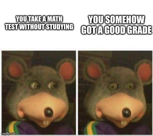 Image Title | YOU SOMEHOW GOT A GOOD GRADE; YOU TAKE A MATH TEST WITHOUT STUDYING | image tagged in chuck e cheese rat stare | made w/ Imgflip meme maker