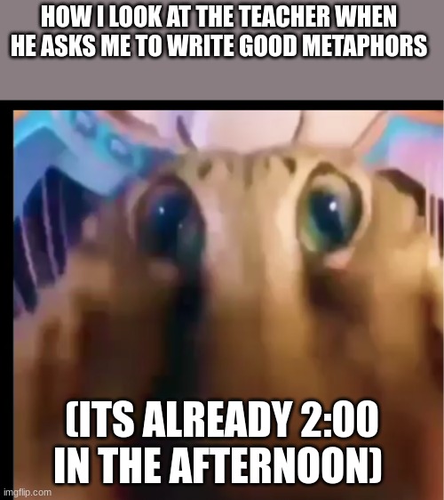 Relatable Cat Stare | HOW I LOOK AT THE TEACHER WHEN HE ASKS ME TO WRITE GOOD METAPHORS; (ITS ALREADY 2:00 IN THE AFTERNOON) | image tagged in high school,unhelpful high school teacher,shitpost,bullshit | made w/ Imgflip meme maker