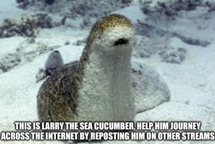 Larry the sea cucumber Blank Meme Template