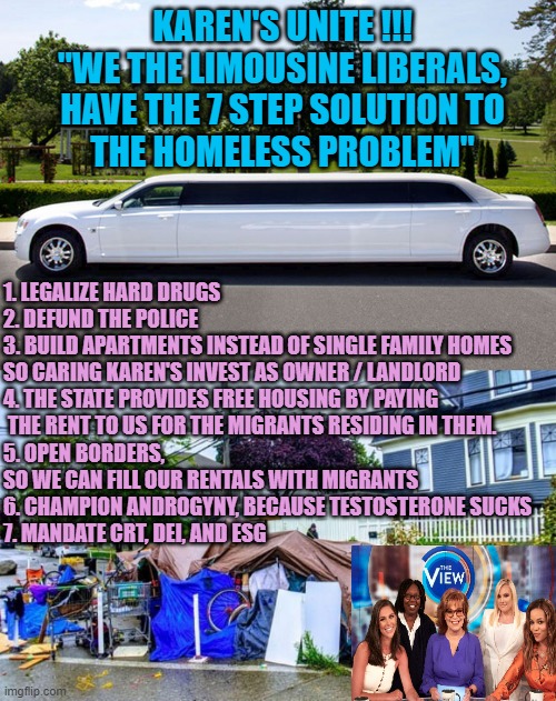 Caring KAREN's | KAREN'S UNITE !!!
"WE THE LIMOUSINE LIBERALS,
HAVE THE 7 STEP SOLUTION TO
THE HOMELESS PROBLEM"; 1. LEGALIZE HARD DRUGS
2. DEFUND THE POLICE
3. BUILD APARTMENTS INSTEAD OF SINGLE FAMILY HOMES
SO CARING KAREN'S INVEST AS OWNER / LANDLORD
4. THE STATE PROVIDES FREE HOUSING BY PAYING
 THE RENT TO US FOR THE MIGRANTS RESIDING IN THEM.
5. OPEN BORDERS, 
SO WE CAN FILL OUR RENTALS WITH MIGRANTS
6. CHAMPION ANDROGYNY, BECAUSE TESTOSTERONE SUCKS
7. MANDATE CRT, DEI, AND ESG | image tagged in limousine or sparkling town car,homeless camp in seattle,homeless,karen,open borders,the critic | made w/ Imgflip meme maker