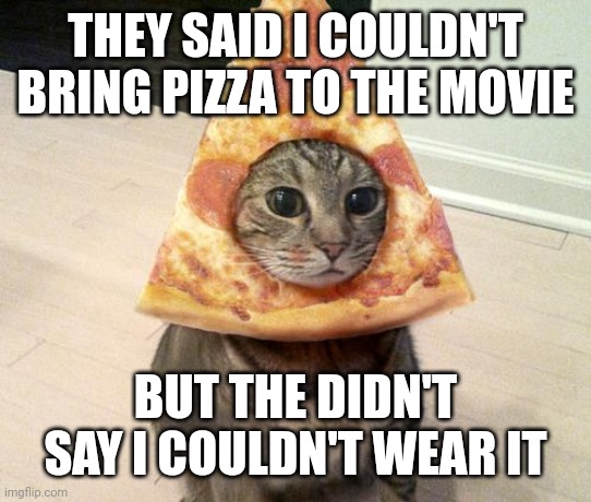 Genius | THEY SAID I COULDN'T BRING PIZZA TO THE MOVIE; BUT THE DIDN'T SAY I COULDN'T WEAR IT | image tagged in pizza cat | made w/ Imgflip meme maker
