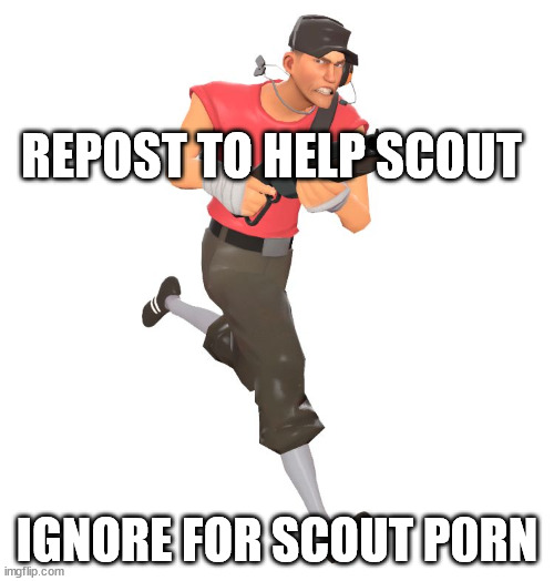 Scout | REPOST TO HELP SCOUT; IGNORE FOR SCOUT P0RN | image tagged in scout tf2 | made w/ Imgflip meme maker