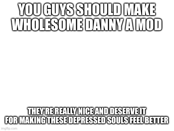 please guys | YOU GUYS SHOULD MAKE WHOLESOME DANNY A MOD; THEY’RE REALLY NICE AND DESERVE IT FOR MAKING THESE DEPRESSED SOULS FEEL BETTER | image tagged in mods | made w/ Imgflip meme maker